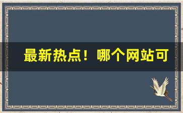 最新热点！哪个网站可以买烟花“飞瀑流泉”