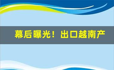 幕后曝光！出口越南产品批发“粗衣粝食”