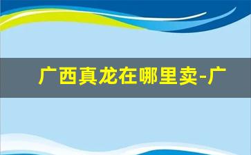 广西真龙在哪里卖-广西25块真龙批发价