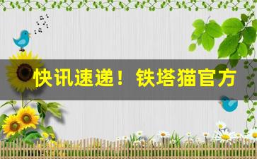 快讯速递！铁塔猫官方微信号“撮合山”