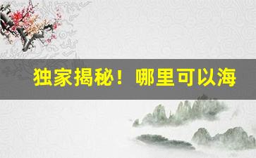 独家揭秘！哪里可以海淘日本香烟“割臂同盟”