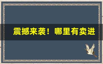 震撼来袭！哪里有卖进口烟草“奔竞之士”