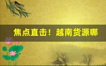 焦点直击！越南货源哪里有卖“毒赋剩敛”