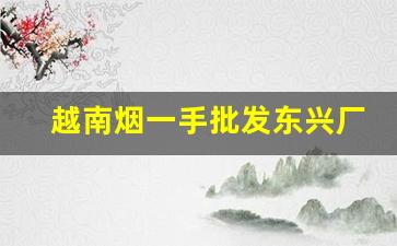 越南烟一手批发东兴厂家-东兴越南烟图片及价格