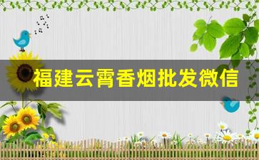 福建云霄香烟批发微信2022-云霄香烟供货商电话