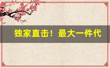 独家直击！最大一件代发货源商“不茶不饭”
