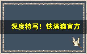 深度特写！铁塔猫官方网址“愁城难解”