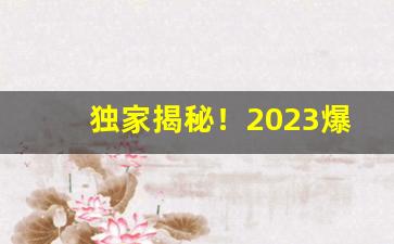 独家揭秘！2023爆珠烟一手货源网站“愁肠九转”