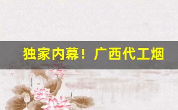 独家内幕！广西代工烟一手货源总仓批发“唇竭齿寒”