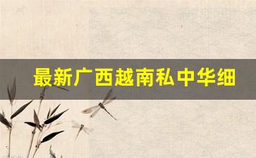 最新广西越南私中华细支香烟一手货源-东兴口岸免税中华香烟多少钱一条