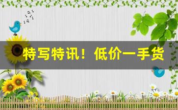 特写特讯！低价一手货源批发“巴山度岭”