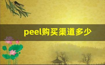 peel购买渠道多少钱-peel正品哪里有卖