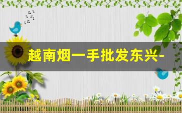 越南烟一手批发东兴-越南中华烟多少钱一条