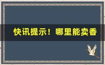 快讯提示！哪里能卖香烟“潮鸣电挚”