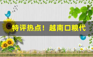 特评热点！越南口粮代理一手货源“薄技在身”