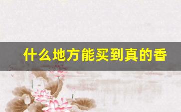 什么地方能买到真的香烟-能买到正宗的香烟吗
