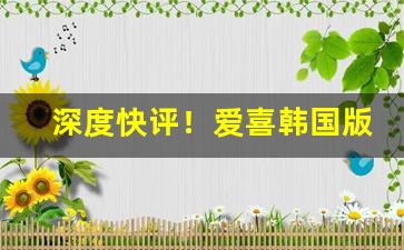 深度快评！爱喜韩国版怎么分辨真假“戴笠乘车”