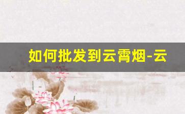 如何批发到云霄烟-云霄整箱批发烟