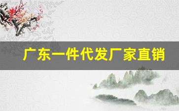 广东一件代发厂家直销-源头厂家直销全国各地一件代发