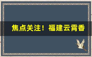 焦点关注！福建云霄香烟批发一手货源批发代理“公道难明”