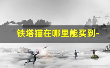 铁塔猫在哪里能买到-铁塔猫在深圳哪里能买到