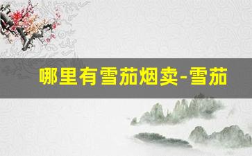 哪里有雪茄烟卖-雪茄烟一般在哪里卖