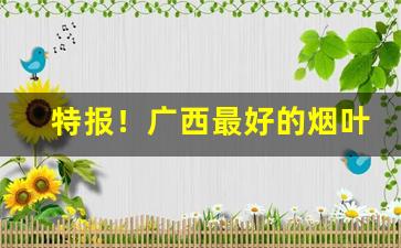 特报！广西最好的烟叶产地“大喊大叫”