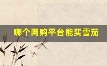 哪个网购平台能买雪茄-20元以内雪茄