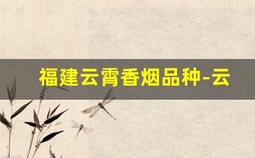 福建云霄香烟品种-云霄香烟哪种最好