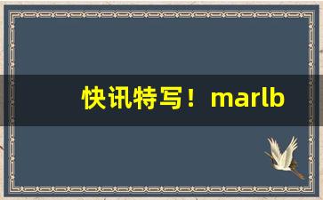 快讯特写！marlboro瑞士菲利普“倒背如流”
