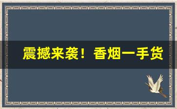 震撼来袭！香烟一手货源原厂香烟批发“北辕适粤”