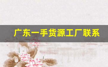 广东一手货源工厂联系方式-广东批发进货一手货源地址