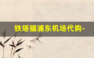 铁塔猫浦东机场代购-铁塔猫在哪里有正品