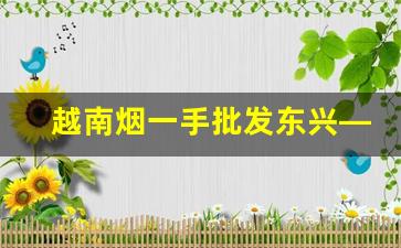 越南烟一手批发东兴—渠道-东兴市卖的烟为什么便宜