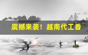 震撼来袭！越南代工香烟批发零售“臣心如水”