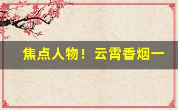 焦点人物！云霄香烟一手货源最高质量“单门独户”