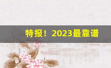 特报！2023最靠谱的香烟批发网站“抱瑜握瑾”