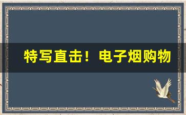 特写直击！电子烟购物渠道“干霄蔽日”