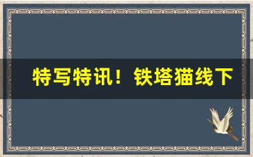 特写特讯！铁塔猫线下哪有卖的“错综相连”