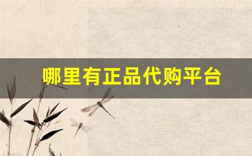 哪里有正品代购平台