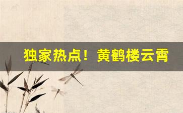 独家热点！黄鹤楼云霄香烟批发价格表“当家理纪”