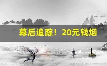 幕后追踪！20元钱烟价格表“缠绵凄恻”