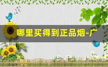 哪里买得到正品烟-广州购买正品烟
