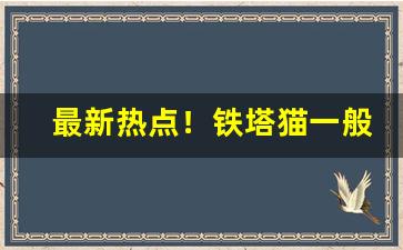 最新热点！铁塔猫一般超市有卖吗“地广人希”