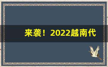 来袭！2022越南代工香烟批发网“遁迹方外”