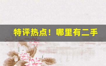 特评热点！哪里有二手香烟“耳闻则诵”