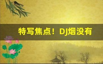 特写焦点！DJ烟没有了吗“燕雀安知”