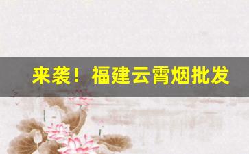 来袭！福建云霄烟批发价格“崇墉百雉”