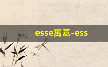 esse寓意-esse是什么意思啊