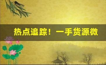 热点追踪！一手货源微信代理怎么做“残喘待终”